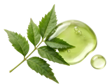 Neem Extract