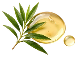  Tea Tree Oil